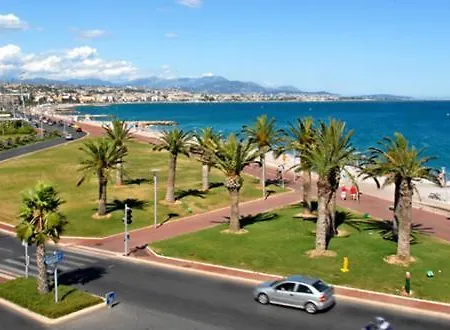 Vespins * Cagnes-sur-Mer